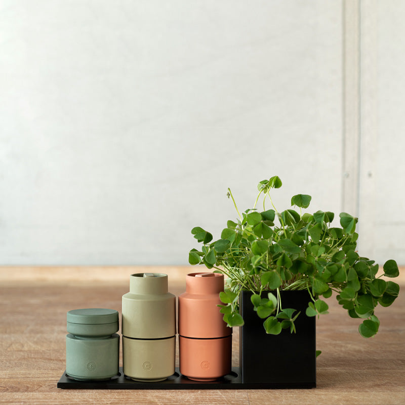 Dekobeispiel farbige Gewürzmühlen zusammen mit CrushGrind Muskatnuss Mühle BILLUND - Biokomposit - grün - 8 cm, Keramik Mahlwerk, mit Aufbewahrungsbox im Home-and-Kitchen Online Shop