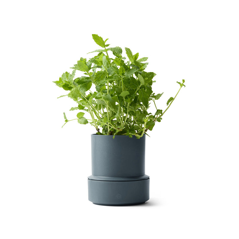 CrushGrind Selbstbewässerungstopf BILLUND, Höhe 14 cm, Durchmesser 12 cm, aus 75 % recyceltem Kunststoff, integriertes Kapillarsystem, 350 ml Wasserreservoir, Online-Shop Home-and-Kitchen.de