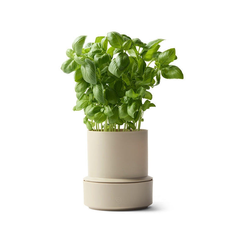 CrushGrind Selbstbewässerungstopf BILLUND, Höhe 14 cm, Durchmesser 12 cm, aus 75 % recyceltem Kunststoff, integriertes Kapillarsystem, 350 ml Wasserreservoir, Online-Shop Home-and-Kitchen.de