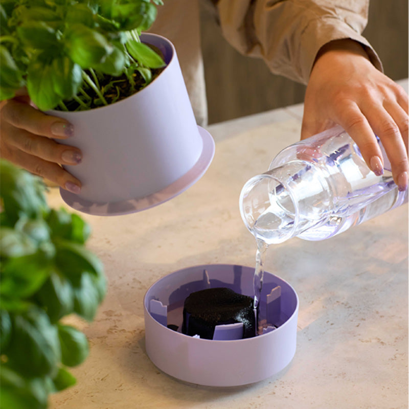 integriertes Kapillarsystem im  CrushGrind Selbstbewässerungstopf BILLUND, für 350 ml Wasser, Höhe 14 cm