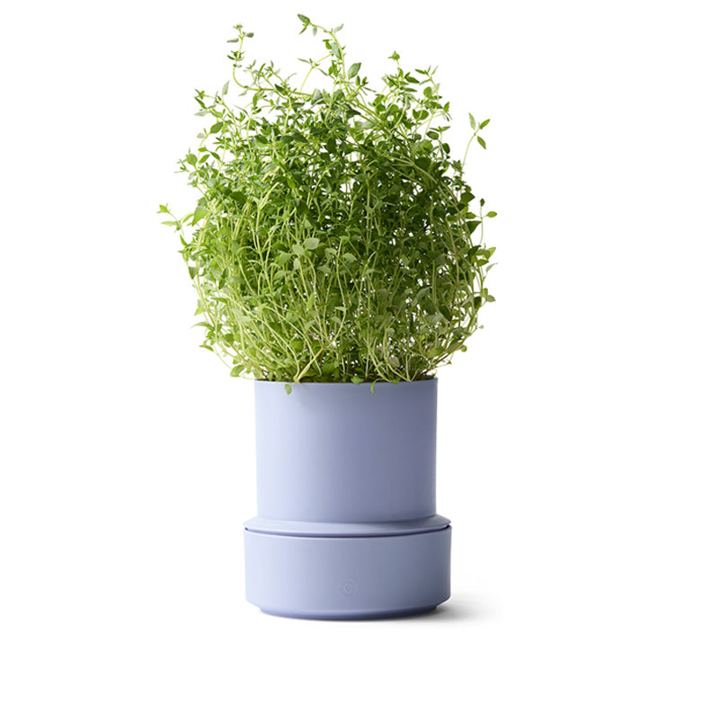 CrushGrind Selbstbewässerungstopf BILLUND, Höhe 14 cm, Durchmesser 12 cm, aus 75 % recyceltem Kunststoff, integriertes Kapillarsystem, 350 ml Wasserreservoir, Online-Shop Home-and-Kitchen.de