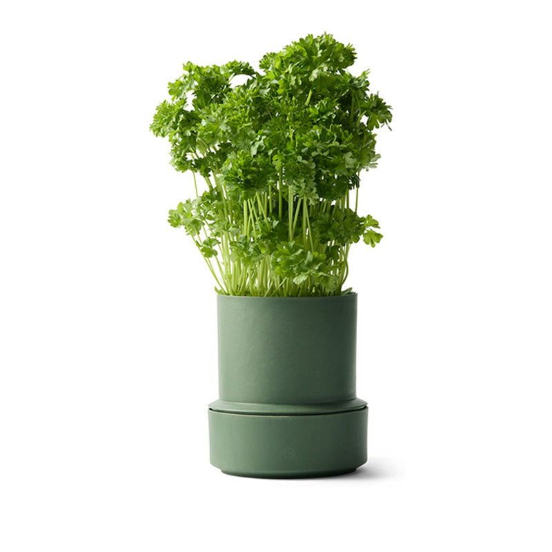 CrushGrind Selbstbewässerungstopf BILLUND, Höhe 14 cm, Durchmesser 12 cm, aus 75 % recyceltem Kunststoff, integriertes Kapillarsystem, 350 ml Wasserreservoir, Online-Shop Home-and-Kitchen.de