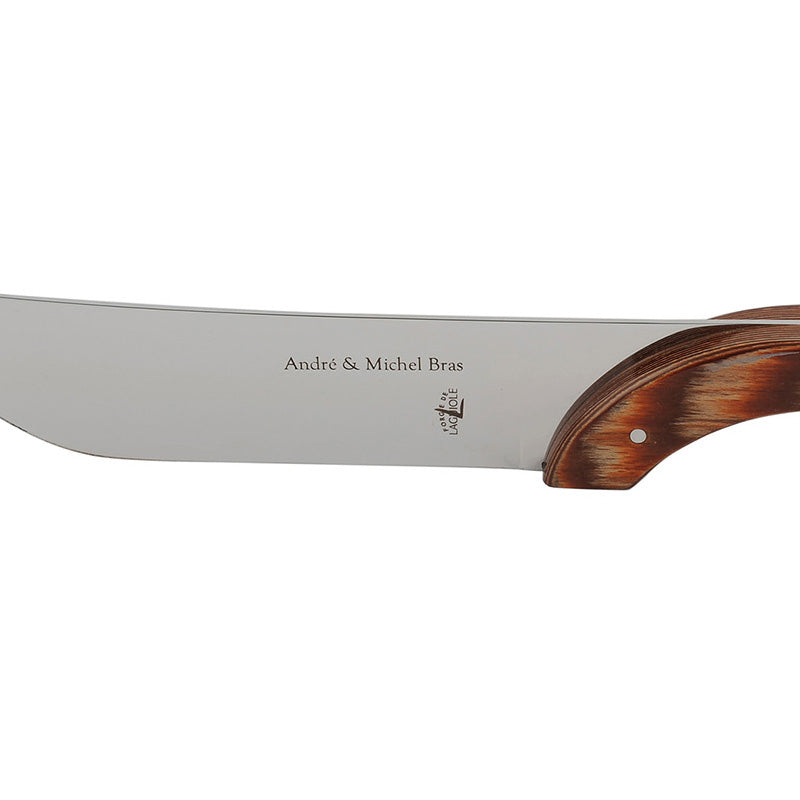 Detailansicht der Klinge mit aufgebrachtem Logo des Forge de Laguiole Käsemessers BRAS - 28,5 cm im Home-and-Kitchen Online Shop