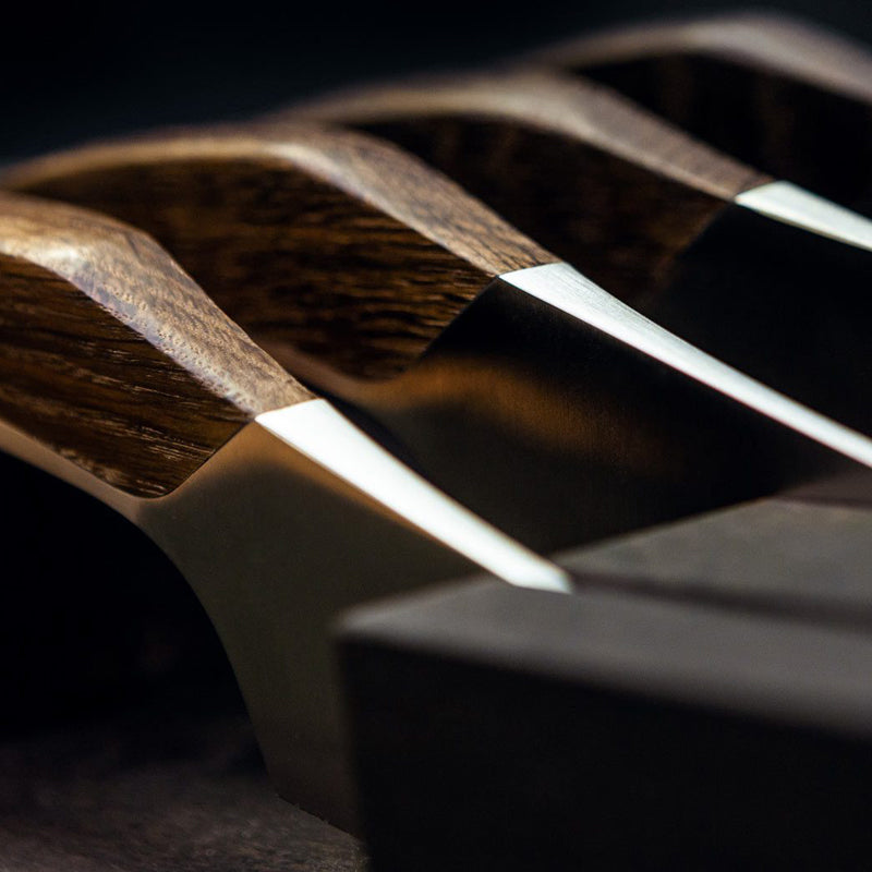 Aufbewahrungsblock für verschiedene Messer der Serie Synchros von Güde Solingen